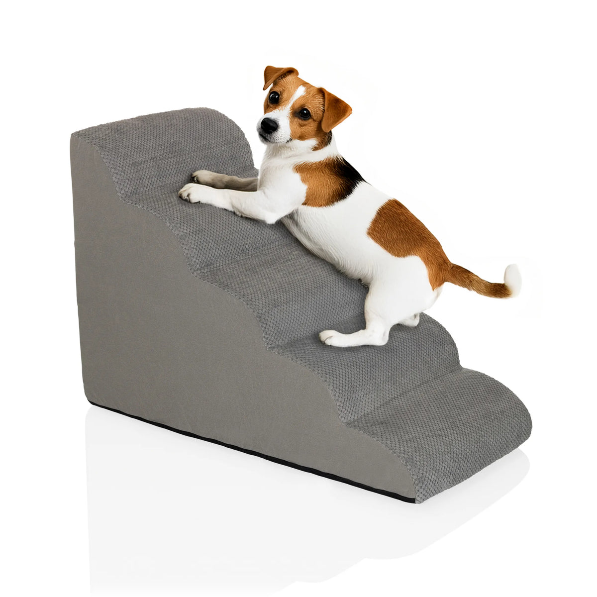 Escabeau pour animaux de compagnie PAWY STEP 5 gris avec un petit chien de hjh LIVING