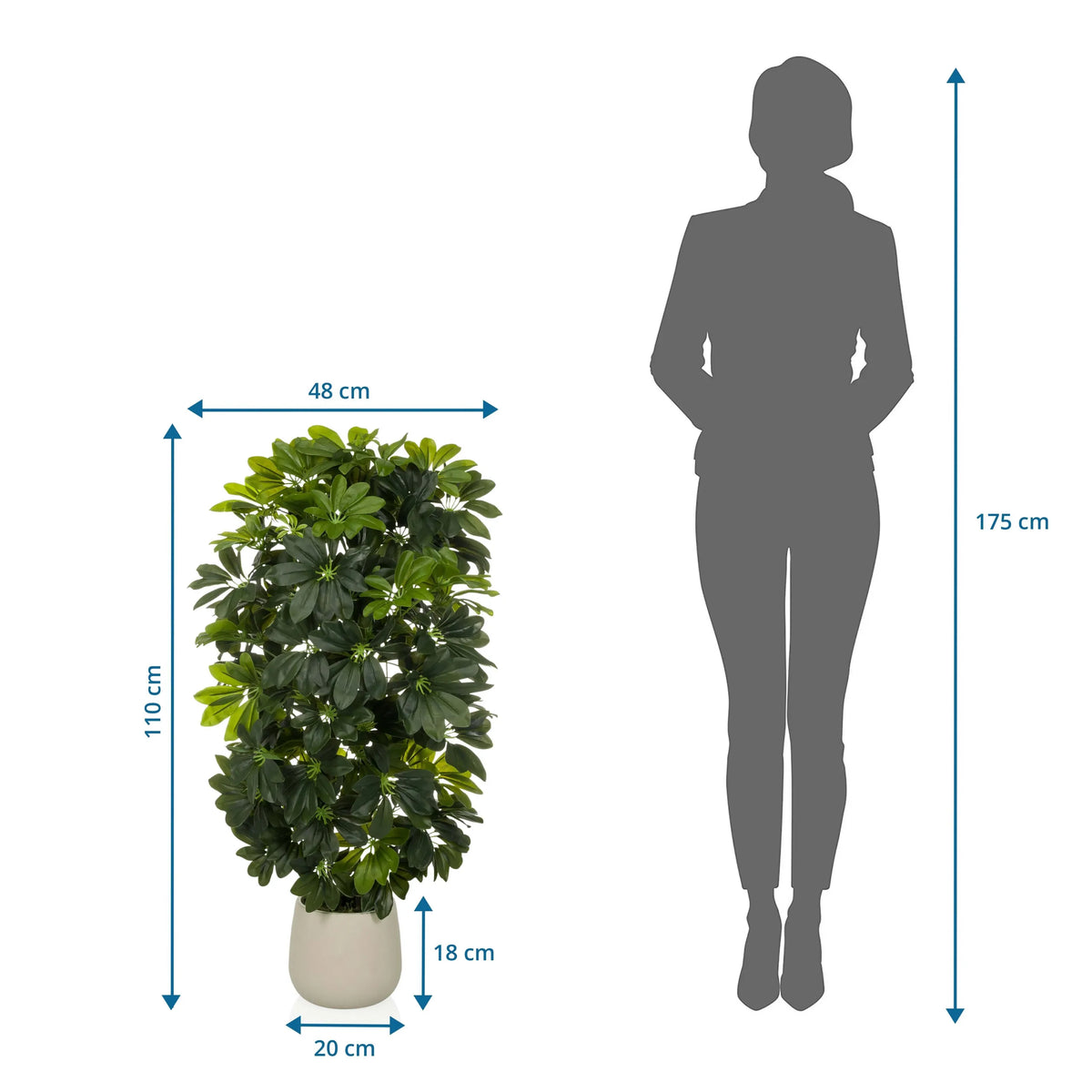 Dessin dimensionnel de la Plante artificielle Schefflera 2 d'une hauteur de 110 cm et d'une largeur de 48 cm de hjh OFFICE