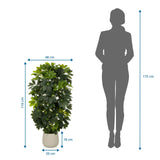 Dessin dimensionnel de la Plante artificielle Schefflera 2 d'une hauteur de 110 cm et d'une largeur de 48 cm de hjh OFFICE