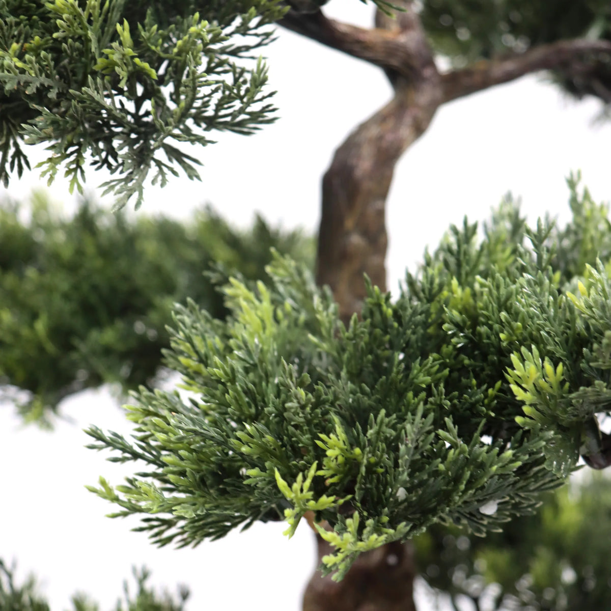 Branches d'aiguilles vertes et tronc brun de la plante artificielle BONSAI de hjh OFFICE