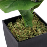 Pot de fleurs carré noir avec mousse verte de la Plante artificielle LYRATA de hjh OFFICE