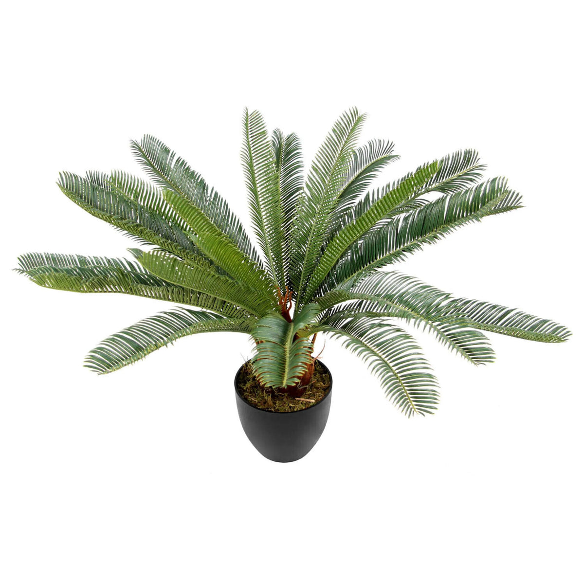 Plante artificielle CYCAS de couleur verte avec cache-pot noir de hjh OFFICE