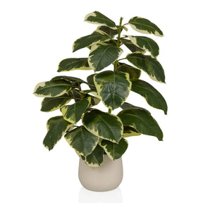 Plante artificielle Ficus 3 en vert et blanc avec un cache-pot beige de hjh OFFICE