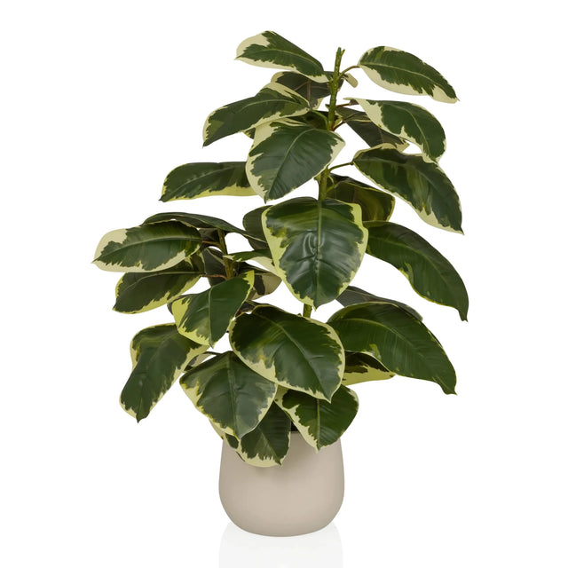 Plante artificielle Ficus 3 en vert et blanc avec un cache-pot beige de hjh OFFICE