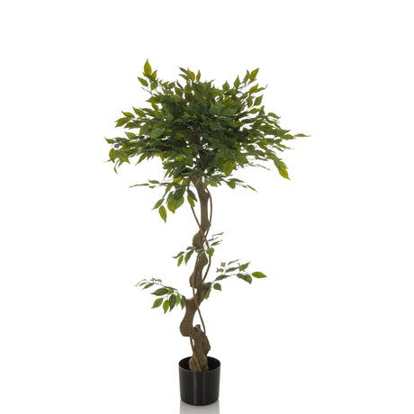 Plante artificielle verte FICUS I avec tronc torsadé dans un pot noir de hjh OFFICE
