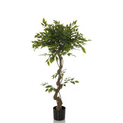Plante artificielle verte FICUS I avec tronc torsadé dans un pot noir de hjh OFFICE
