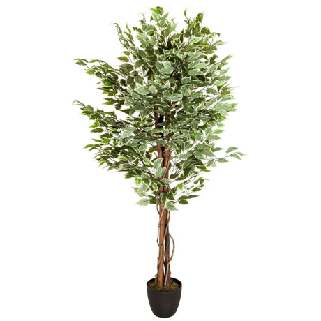 Plante artificielle FICUS aux feuilles panachées vert et blanc dans un pot noir de hjh OFFICE