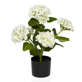 Plante artificielle HYDRANGEA avec fleurs blanches, feuilles vertes et pot noir de hjh OFFICE