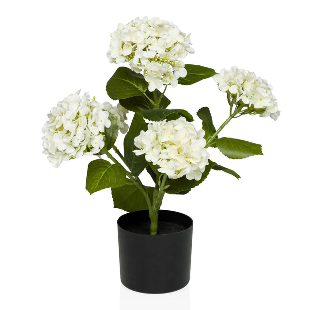 Plante artificielle HYDRANGEA avec fleurs blanches, feuilles vertes et pot noir de hjh OFFICE