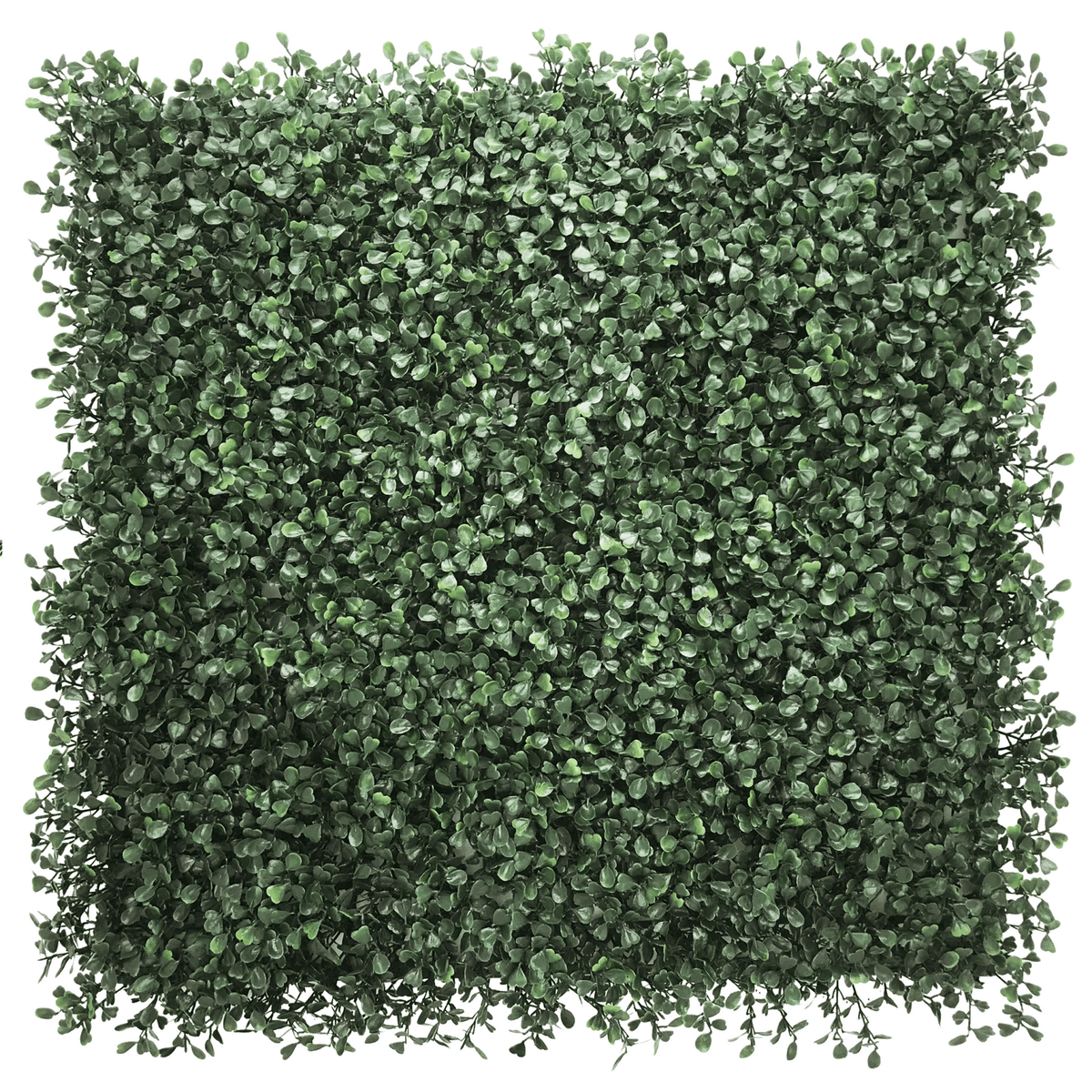 Tapis végétal vert LEAFLUXE 1 aux petites feuilles denses de forme carrée de hjh LIVING