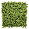 Tapis végétal vert LEAFLUXE 3 au feuillage dense et fin de hjh LIVING