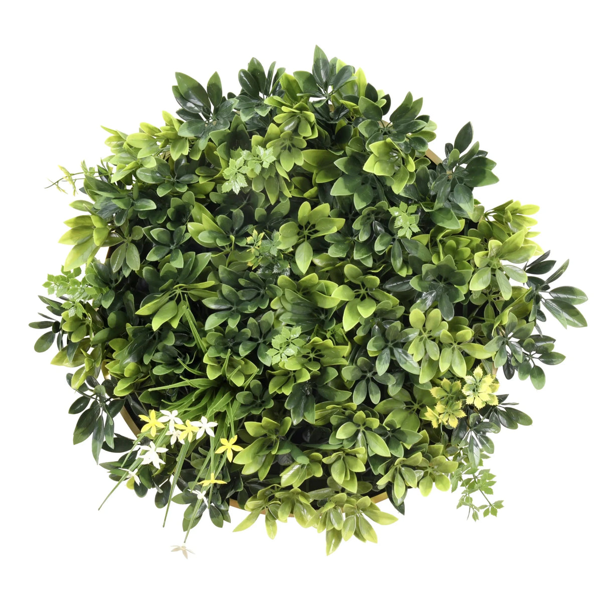 LEAFLUXE WALL 2 - Tapis végétal 