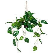 Plante artificielle verte MONSTERA CLIMB comme plante suspendue avec des feuilles perforées de hjh OFFICE