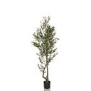 Plante artificielle verte OLIVE I à croissance étroite dans un pot noir de hjh OFFICE