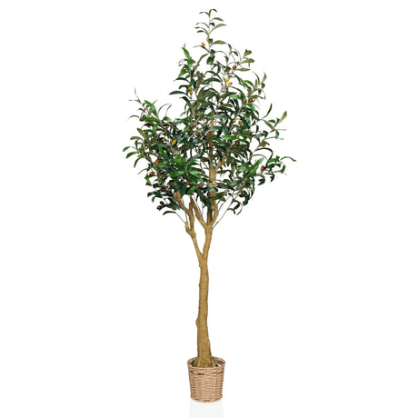 Plante artificielle OLIVE II en vert avec pot panier tressé et tronc naturel de hjh OFFICE