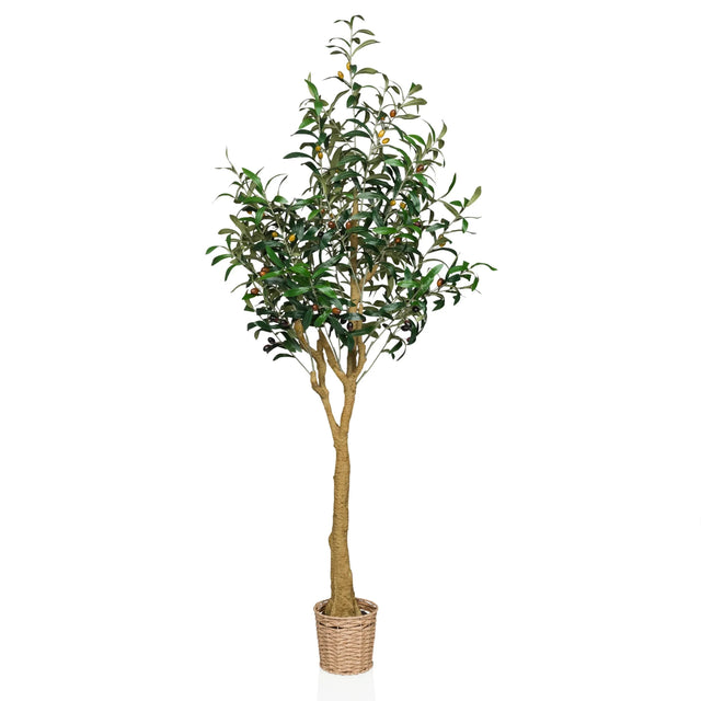 Plante artificielle OLIVE II en vert avec pot panier tressé et tronc naturel de hjh OFFICE
