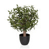 Plante artificielle Olive S aux feuilles vertes dans un pot noir simple de hjh OFFICE