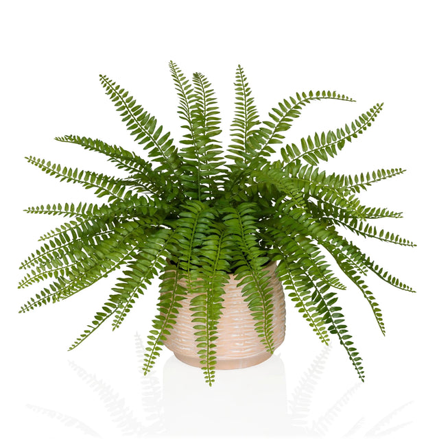 Plante artificielle verte Proliferum aux feuilles ressemblant à des fougères dans un cache-pot beige clair de hjh OFFICE