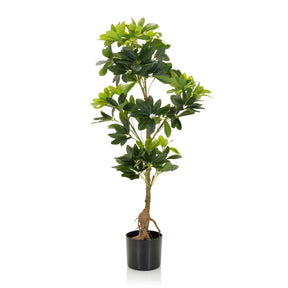 Plante artificielle verte SCHEFFLERA aux feuilles brillantes dans un pot noir de hjh OFFICE