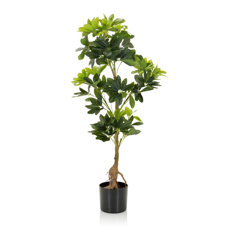 Plante artificielle verte SCHEFFLERA aux feuilles brillantes dans un pot noir de hjh OFFICE