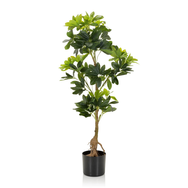Plante artificielle verte SCHEFFLERA aux feuilles brillantes dans un pot noir de hjh OFFICE