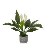 Plante artificielle Spathiphyllum 1 avec des feuilles vertes, deux fleurs blanches et un pot gris de hjh OFFICE