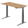 XBHM 16 GC | 160x80 | Schreibtisch elektrisch höhenverstellbar - buerostuhl24