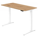 XBHM 16 WW | 160x80 | Schreibtisch elektrisch höhenverstellbar - buerostuhl24