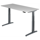 Bureau à hauteur réglable électriquement XBHM 19 GG en gris avec affichage numérique de hjh OFFICE PRO