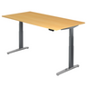 XBHM 2E GC | 200x100 | Schreibtisch elektrisch höhenverstellbar - buerostuhl24