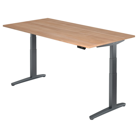 XBHM 2E GG | 200x100 | Schreibtisch elektrisch höhenverstellbar - buerostuhl24