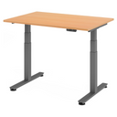 Bureau à hauteur réglable électriquement XDSM 12 G en hêtre avec pieds gris de hjh OFFICE PRO