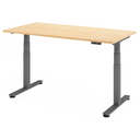 Bureau réglable en hauteur électriquement XDSM 16 G avec plateau en bois d'érable et pieds gris de hjh OFFICE PRO