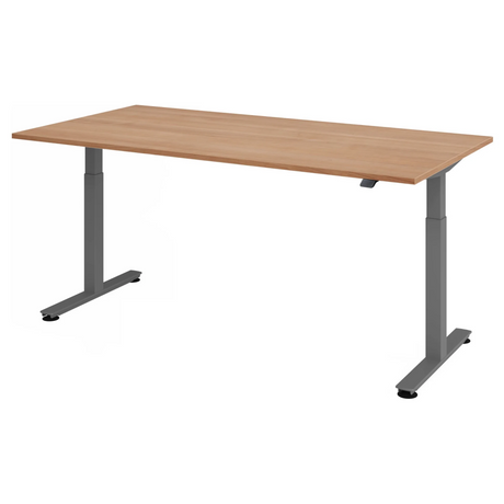 XMST 2E G | 200x100 | Schreibtisch elektrisch höhenverstellbar - buerostuhl24