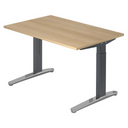 XTRA XB 12 GC | 120x80 | Schreibtisch höhenverstellbar - buerostuhl24