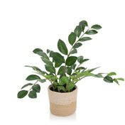 Plante artificielle ZAMIE de couleur verte avec un cache-pot tressé en matériau naturel de hjh OFFICE