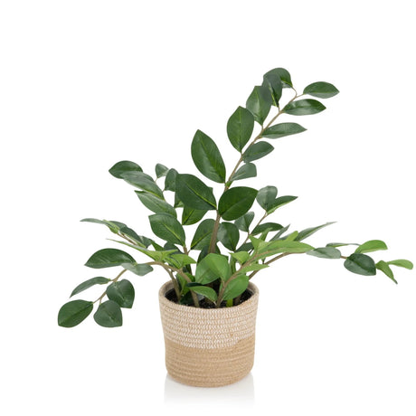 Plante artificielle ZAMIE de couleur verte avec un cache-pot tressé en matériau naturel de hjh OFFICE